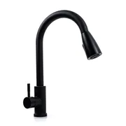 LN08 with Pull-Out Spout Black — 1